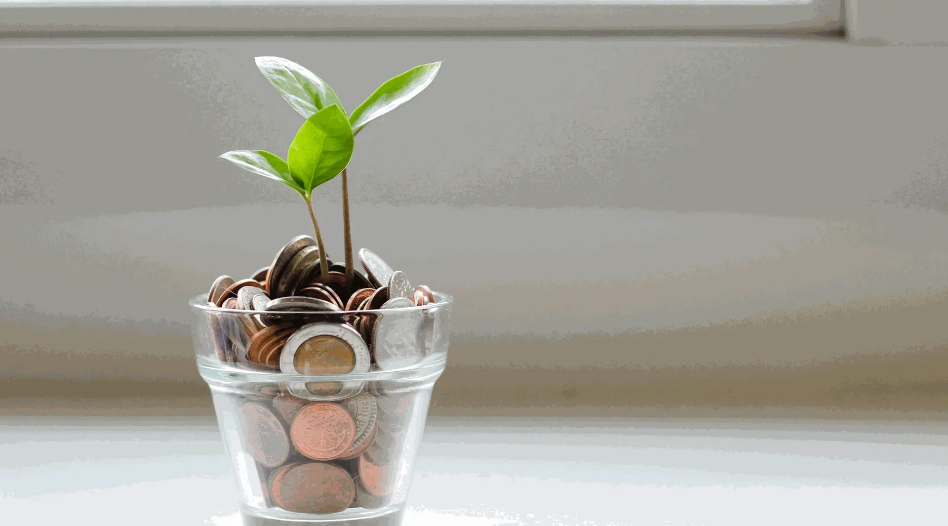 Optimisation fiscale